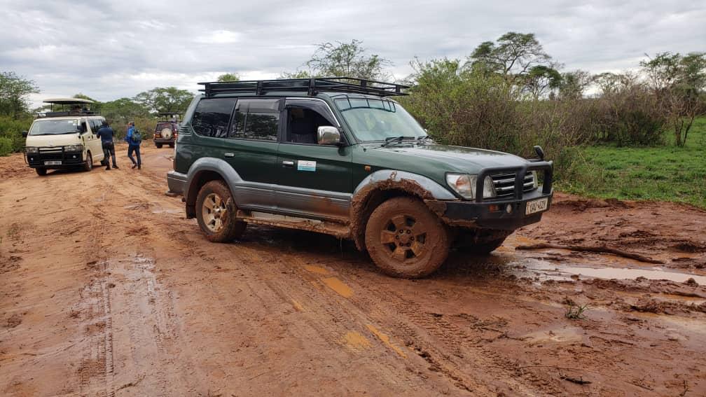 4x4 Self drive Car Rental Uganda for Wildlife Safaris
