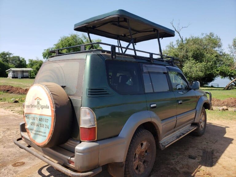 6 Top Destinations to Visit on self-Drive 4x4 Rent a Car Uganda